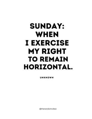 silly sunday quotes