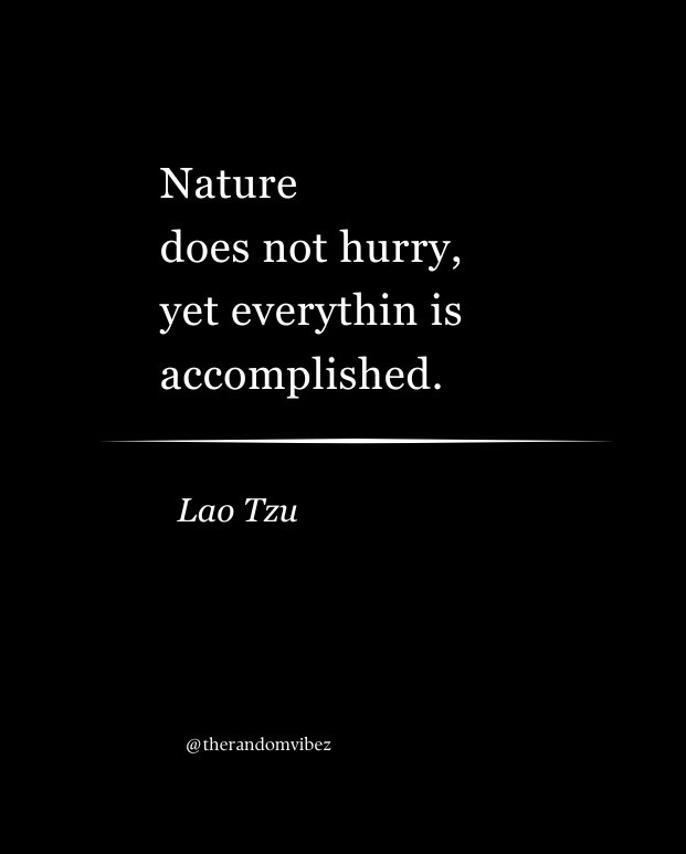 Top 90 Lao Tzu Quotes On Love & Life (Tao Te Ching) – The Random Vibez