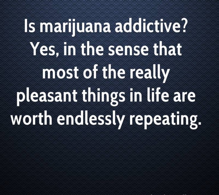 Interesting Funny Marijuana Quotes – The Random Vibez