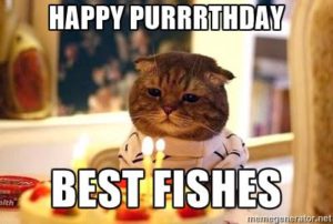 100 Best Happy Birthday Cat Memes & Images – The Random Vibez