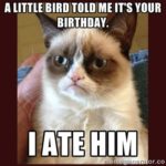 100 Best Happy Birthday Cat Memes & Images – The Random Vibez