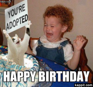 80+Top Funny Happy Birthday Memes – The Random Vibez