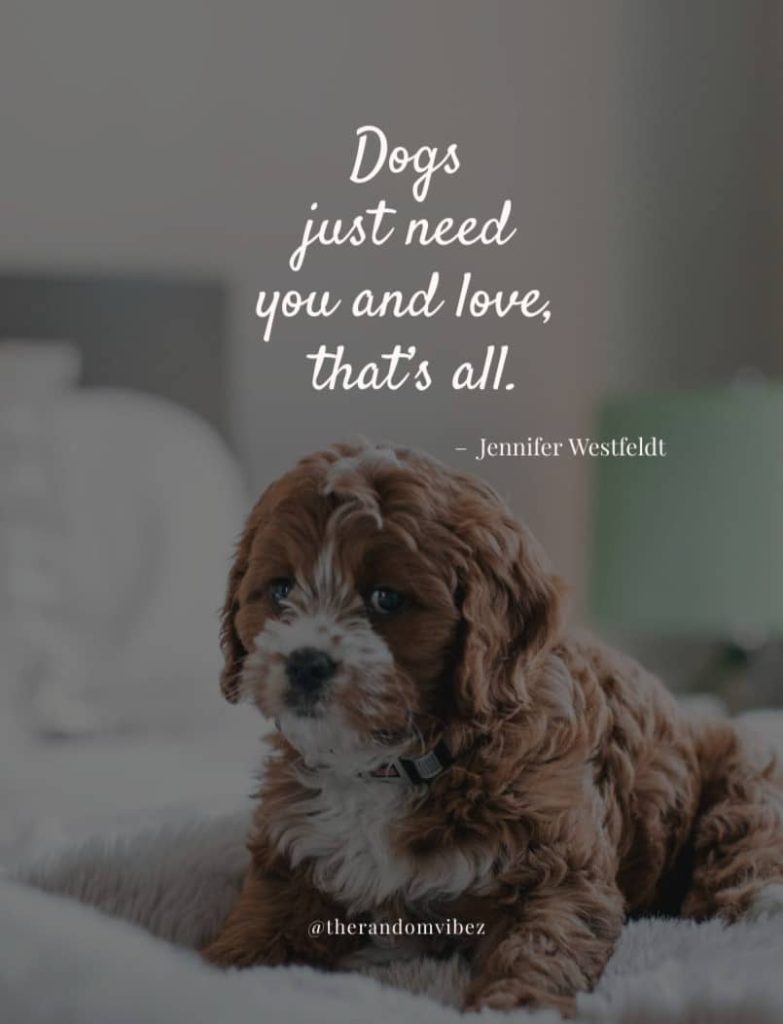 Best Quotes About Dogs For Your Fur-Ever Friend – The Random Vibez