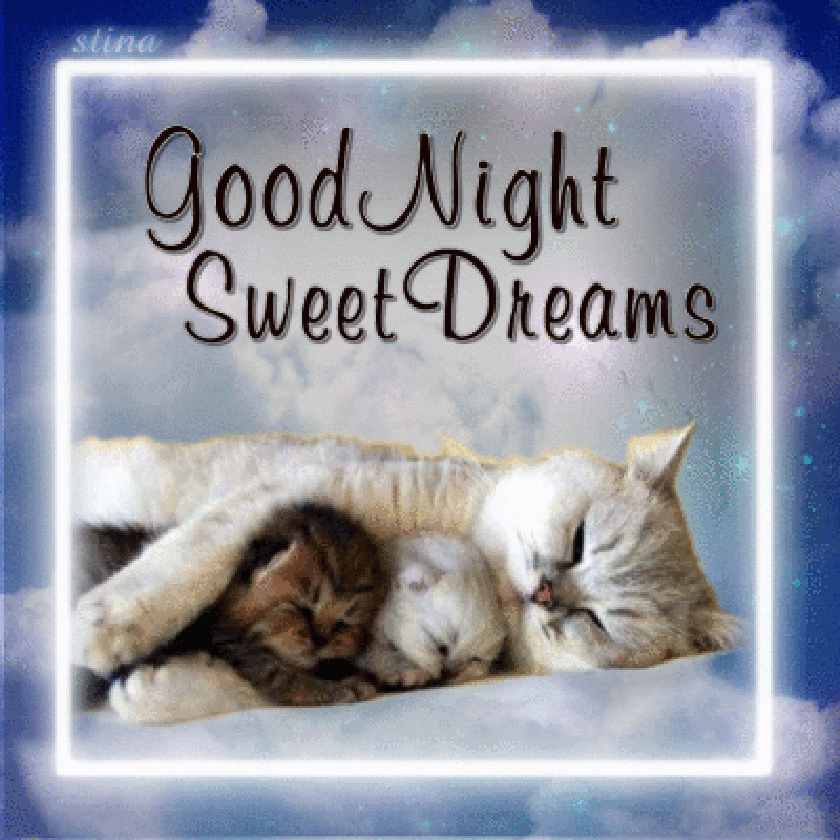 Good night sweet dreams gif funny