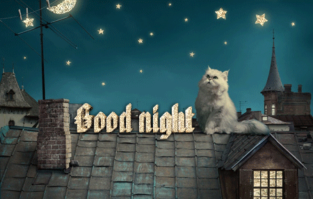 The Cutest Good Night Gif Images And Pictures Free