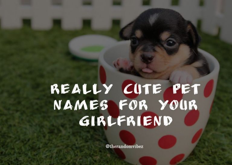 490+ MOST ROMANTIC AND CUTE NICKNAMES FOR YOUR GIRLFRIEND - Etandoz