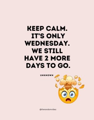 wednesday funny quotes