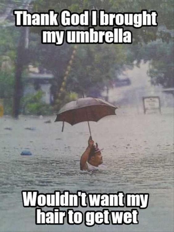 40 Funny Rain Quotes Sayings Jokes And Memes The Random Vibez