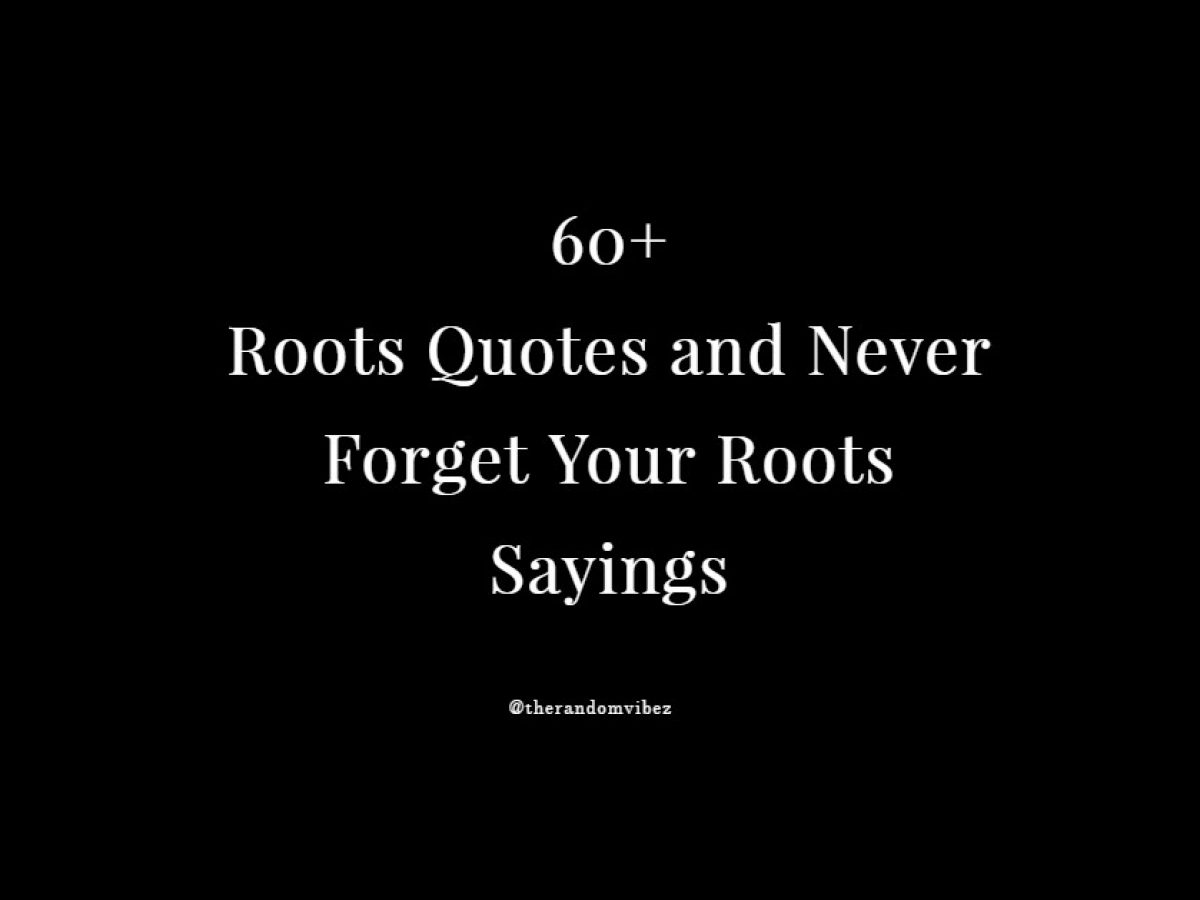 60 Roots Quotes And Never Forget Your Roots Sayings