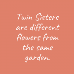 70 Cute and Funny Twin Quotes with Images – The Random Vibez