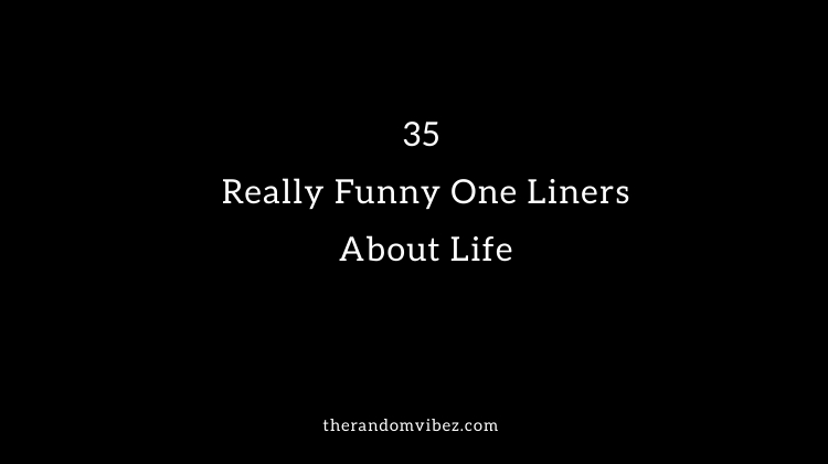 Funny Life Quotes One Liners 40 Really Funny One Liners About Life