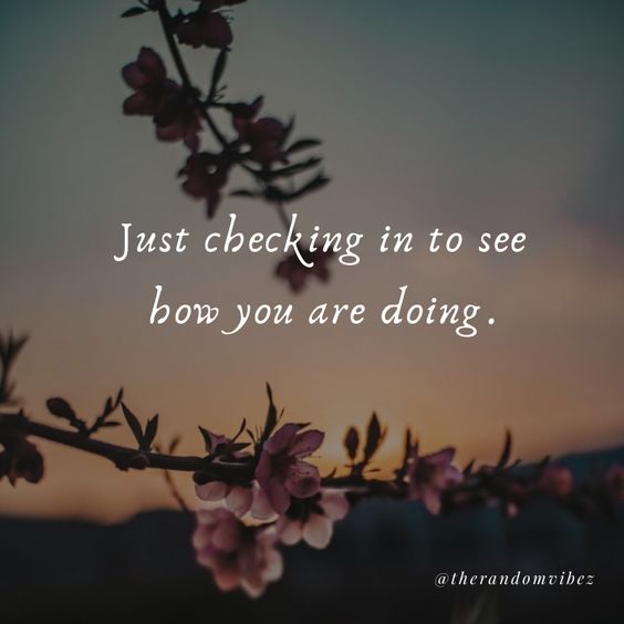 just checking on you message