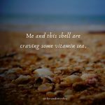 50 Seashell Quotes To Refresh Your Beach Memories – The Random Vibez