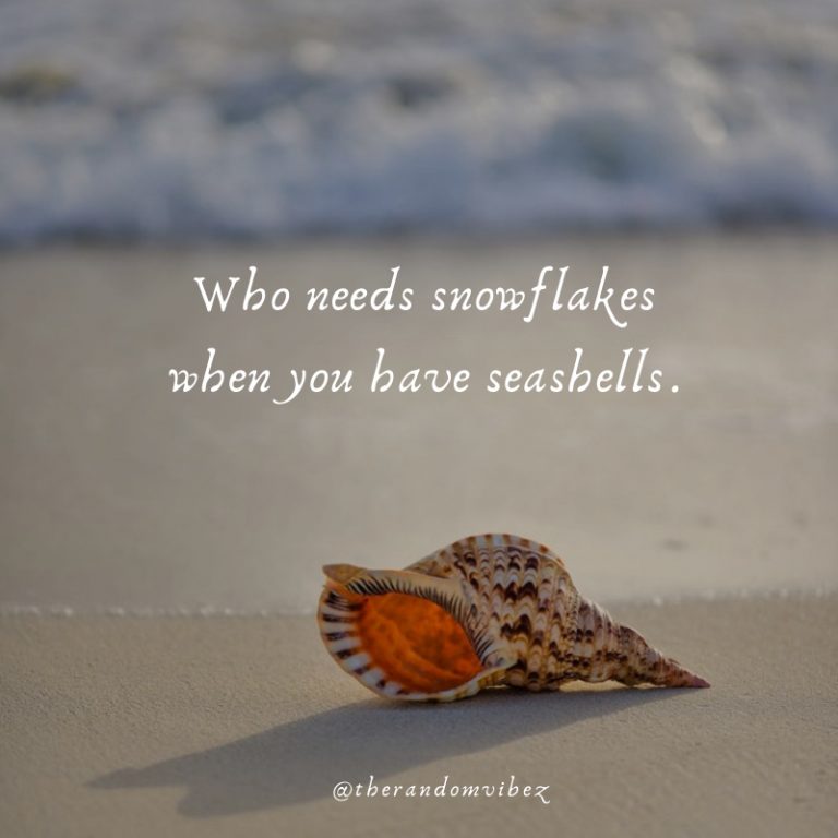 50 Seashell Quotes To Refresh Your Beach Memories – The Random Vibez