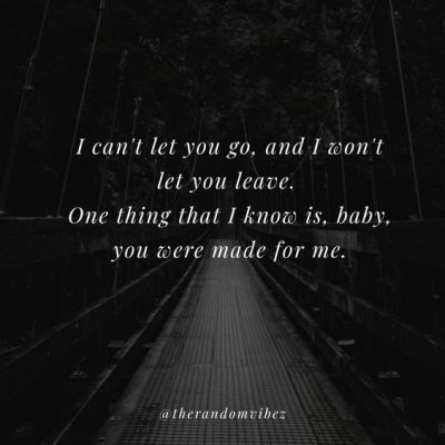 40 I Will Never Leave You Quotes For Your Love – The Random Vibez