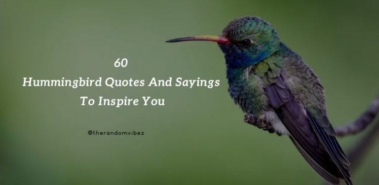 60 Hummingbird Quotes And Sayings To Inspire You