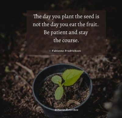 Patience Planting Seeds Quotes