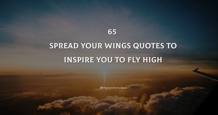 Flying High Quotes To Unlock Your Hidden Potential, 44% OFF