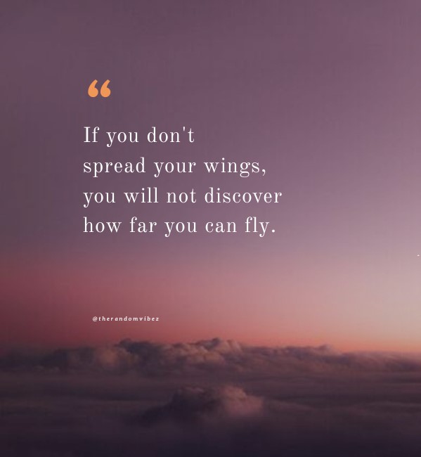65 Spread Your Wings Quotes To Inspire You To Fly High – The Random Vibez