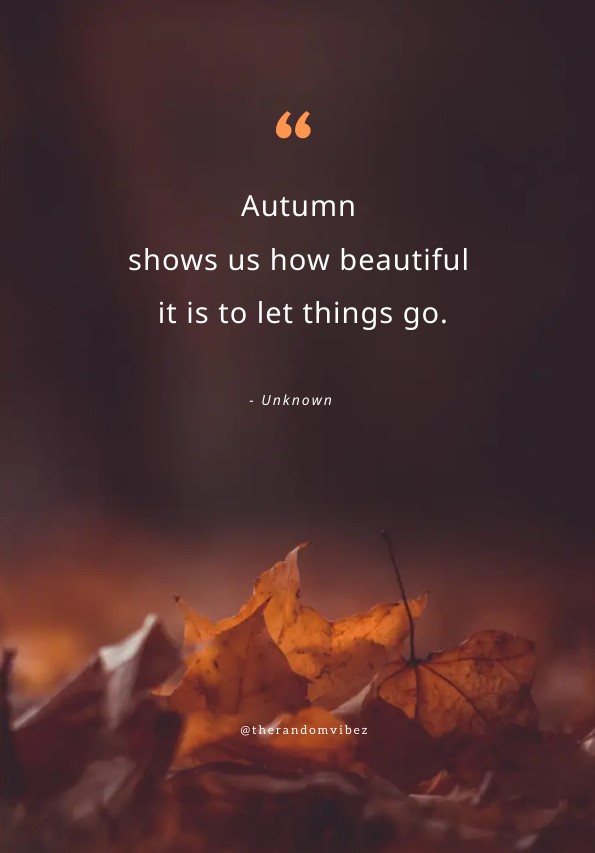 80 Fall Inspirational Quotes On Beauty Of Autumn Season – The Random Vibez