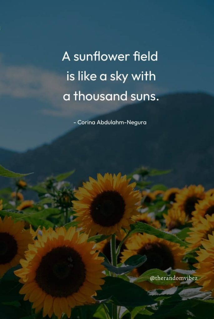 90 Sunflower Quotes To Inspire & Brighten Your Day! – The Random Vibez