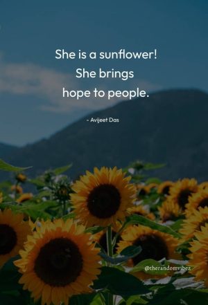 Quotes About Sunflowers