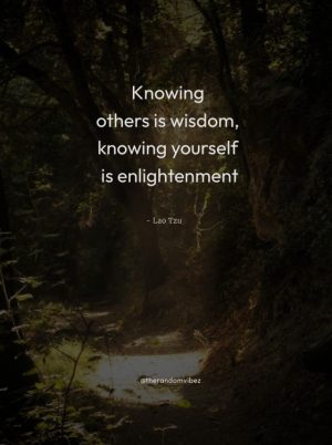 90 Enlightenment Quotes For Spiritual Awakening – The Random Vibez