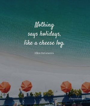 holiday quotes funny