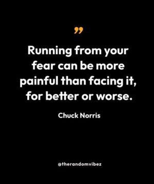 Best Chuck Norris Quotes