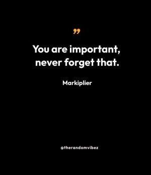 “You are important, never forget that.” — Markiplier
