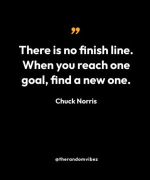 Quotes By Chuck Norris