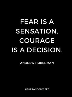 Quotes from Andrew Huberman
