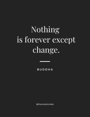 everything is temporary buddha quotes