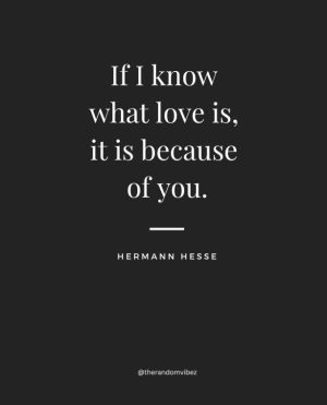 hermann hesse quote