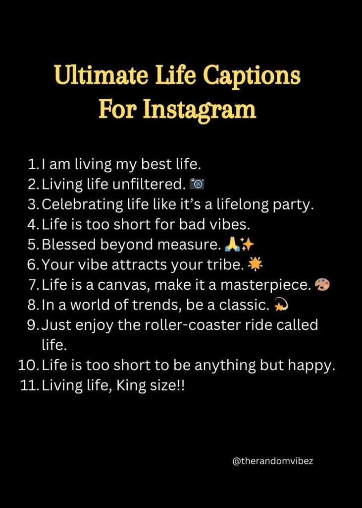 90 Best Life Captions For Instagram Pictures The Random Vibez