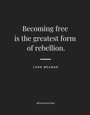 quotes by luke belmar