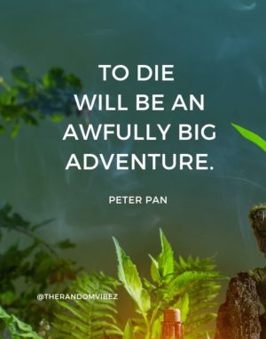 quotes of peter pan