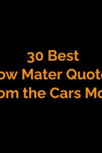 Best Tow Mater Quotes From the Cars Movie