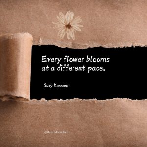 Suzy Kassem Quote