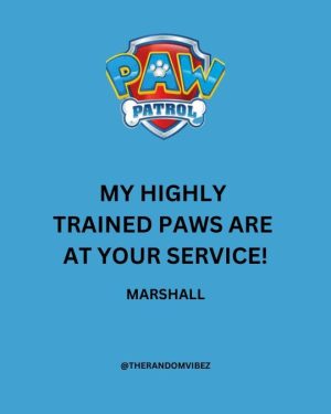 Marshall Paw Patrol Quotes