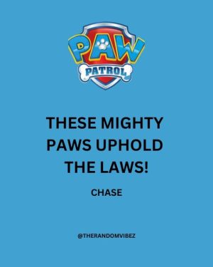 Paw Patrol Catch Phrases