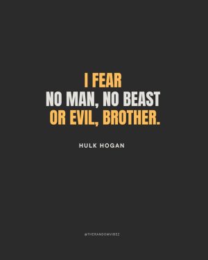 hulk hogan quotes