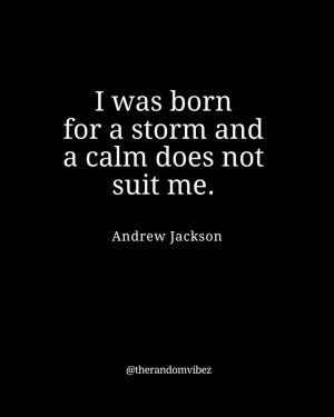 andrew jackson quotes​