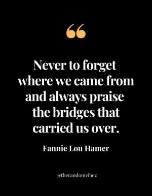 Best Fannie Lou Hamer Quotes