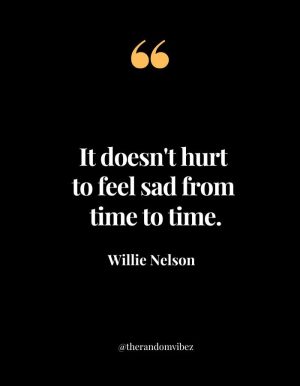 Famous Quotes By Willie Nelson